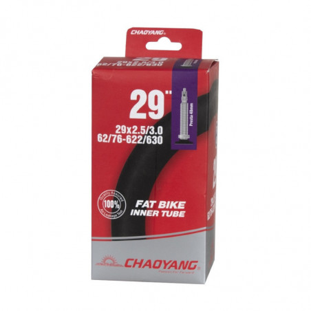 CAMARA 29 x 3,0 / 3,50 CHAOYANG VALVULA FINA
