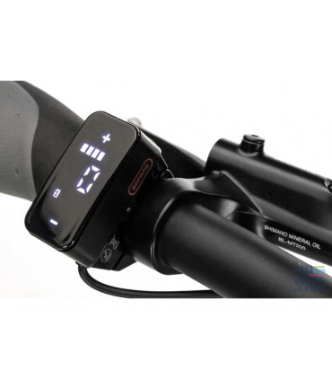DISPLAY DP E160 BAFANG