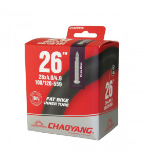 CÁMARA FAT 26X4.0/4.9 FV 48 MM