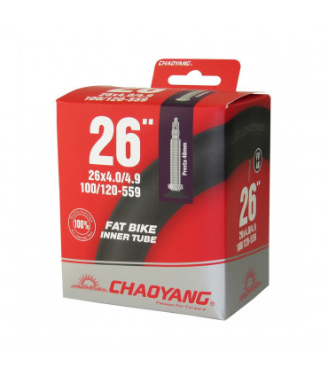 CÁMARA FAT 26X4.0/4.9 FV 48 MM